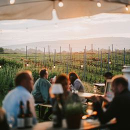 Event am Weingut Esterházy