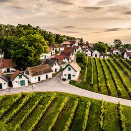 © Niederösterreich Werbung/Robert Herbst Galgenberg im Weinviertel