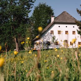 Ruhelage im Salzkammergut