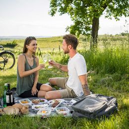 Idyllisches Picknick im Weingarten