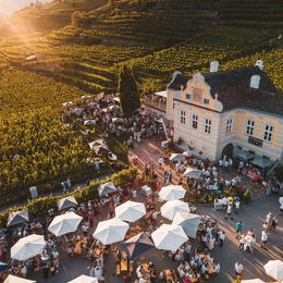 Kellerschlössl der Domäne Wachau