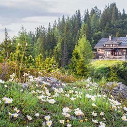 Die Goiserer Hütte bietet authentische Köstlichkeiten