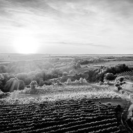 Sonnenuntergang am Wagram