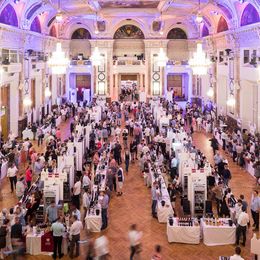 Festsaal der Weiner Hofburg