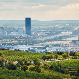 Blick auf Wien von der Ersten Lage Langteufel