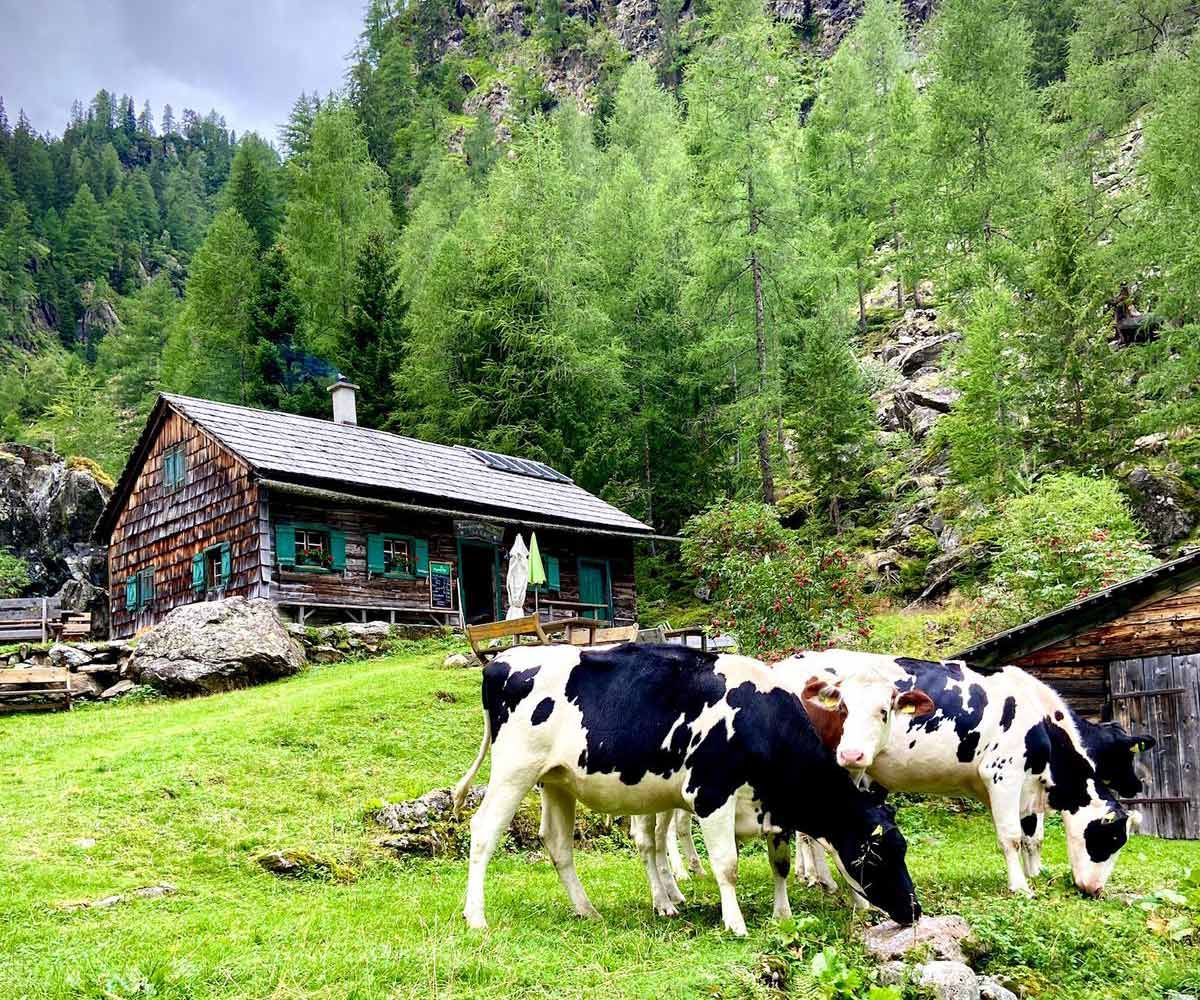 Ringdorferhütte