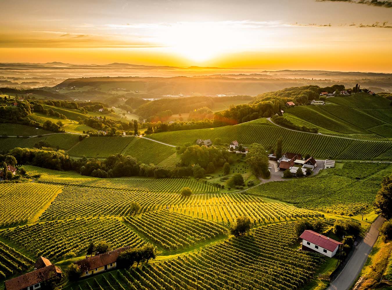 © ÖWM | Robert Herbst Ried Obegg in der Südsteiermark