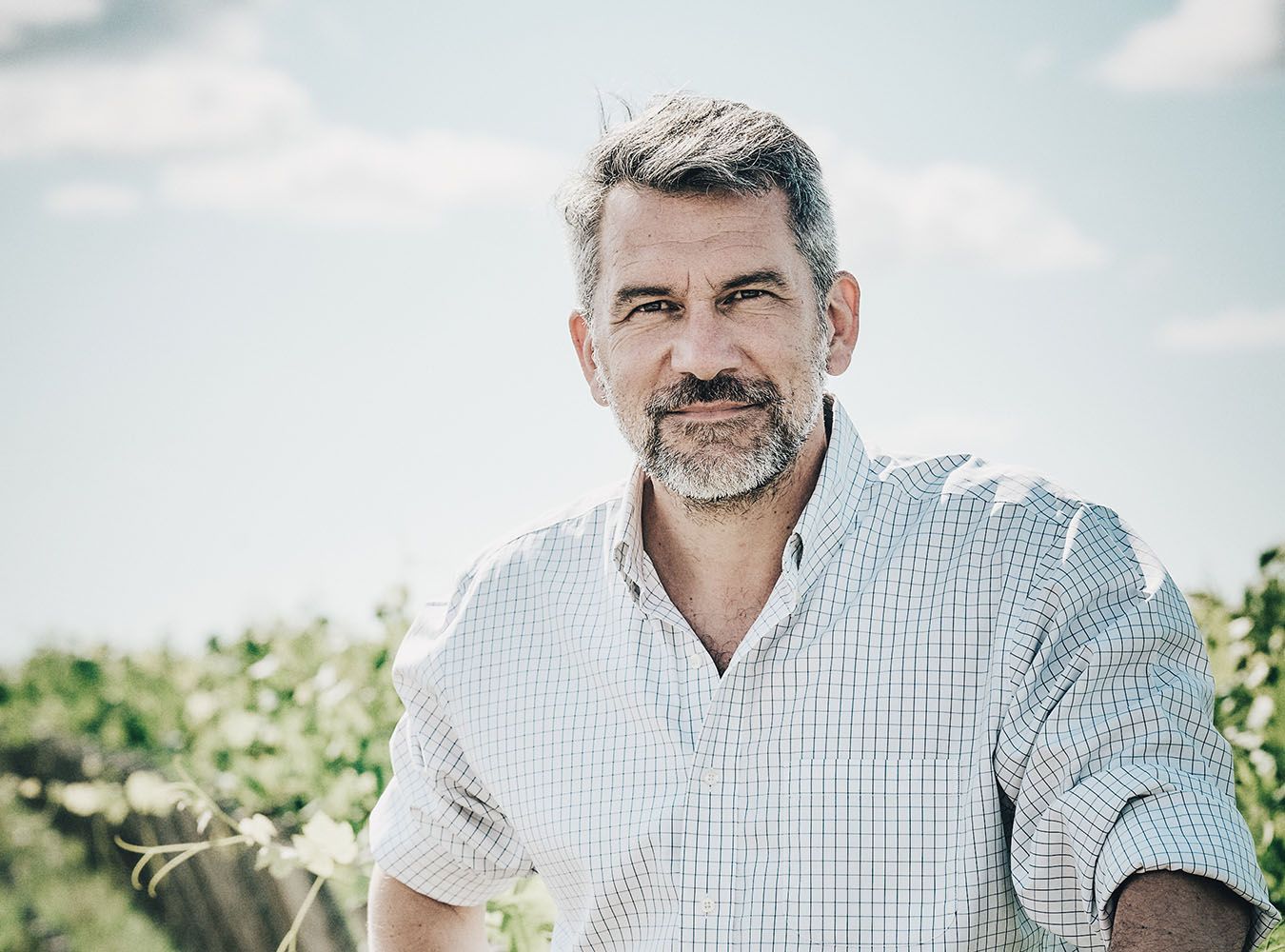 Vigneron Nicolas Glumineau