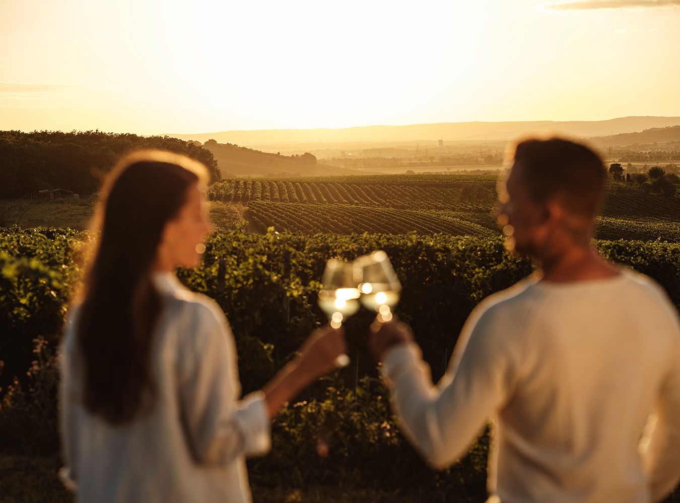 Gutes Essen und guter Wein bei „Taste the Weinviertel"