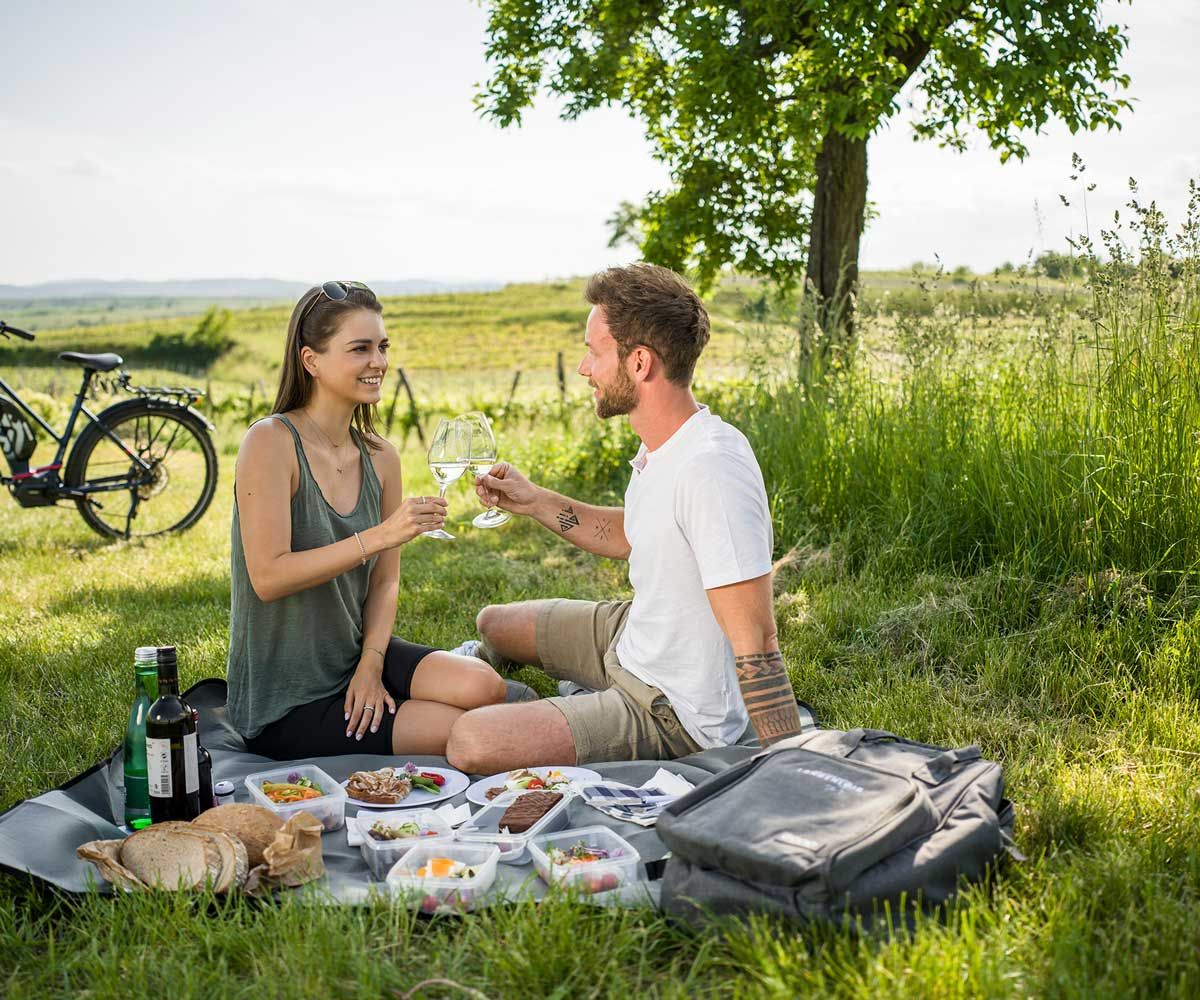 Idyllisches Picknick im Weingarten