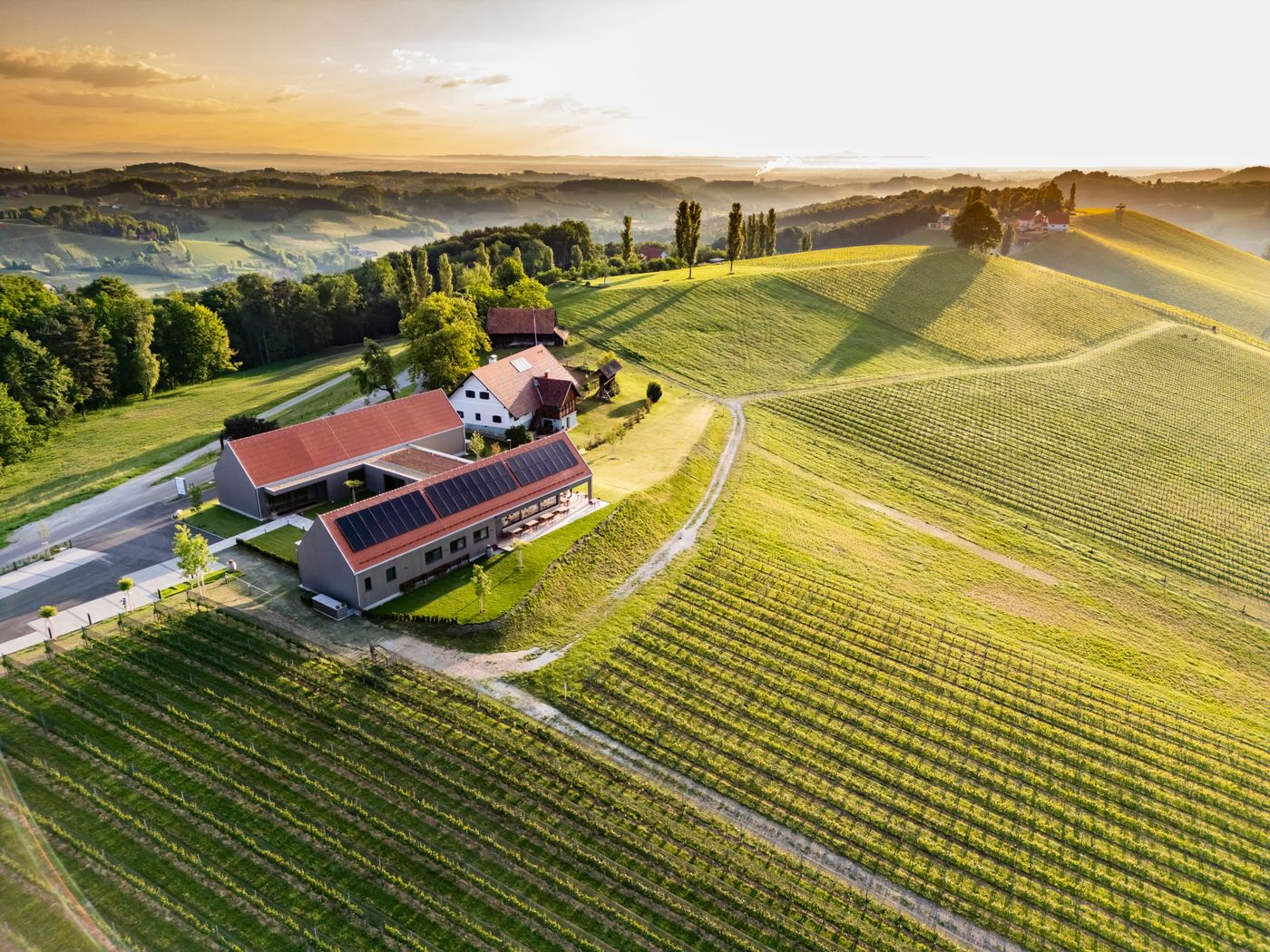 Weingut Dietrich / Werner Krug null
