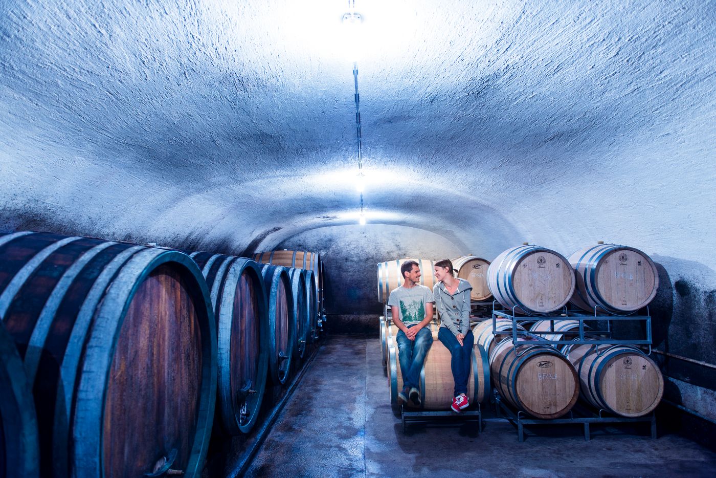 Paul Szimák / Weingut Wagentristl null