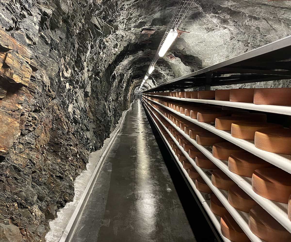 Schier endlose Stollen mit Käselaiben