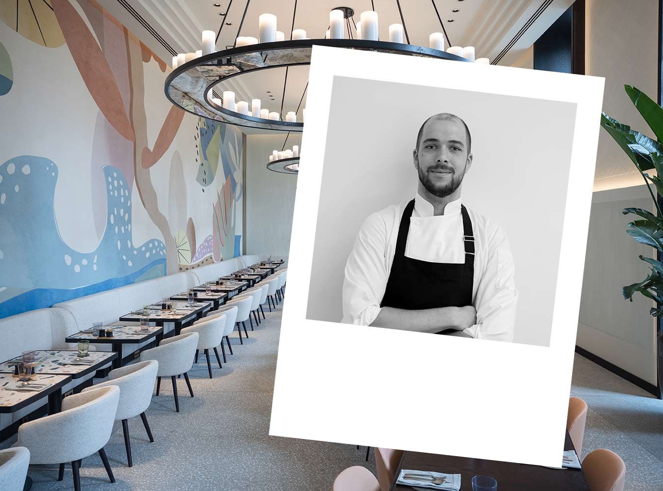 Restaurant Donnersmarkt