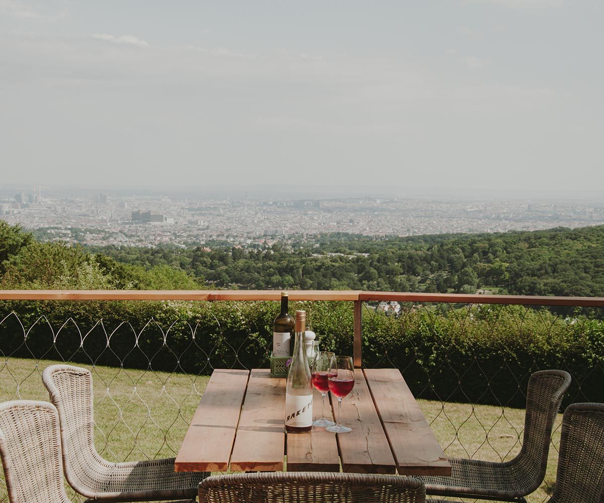 Herrlicher Blick über Wien