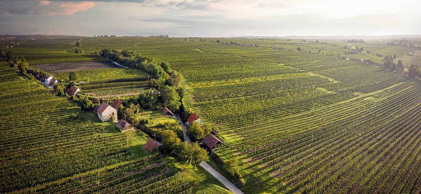 Blick über die Wagramer Rieden Steinagrund und Hammergraben