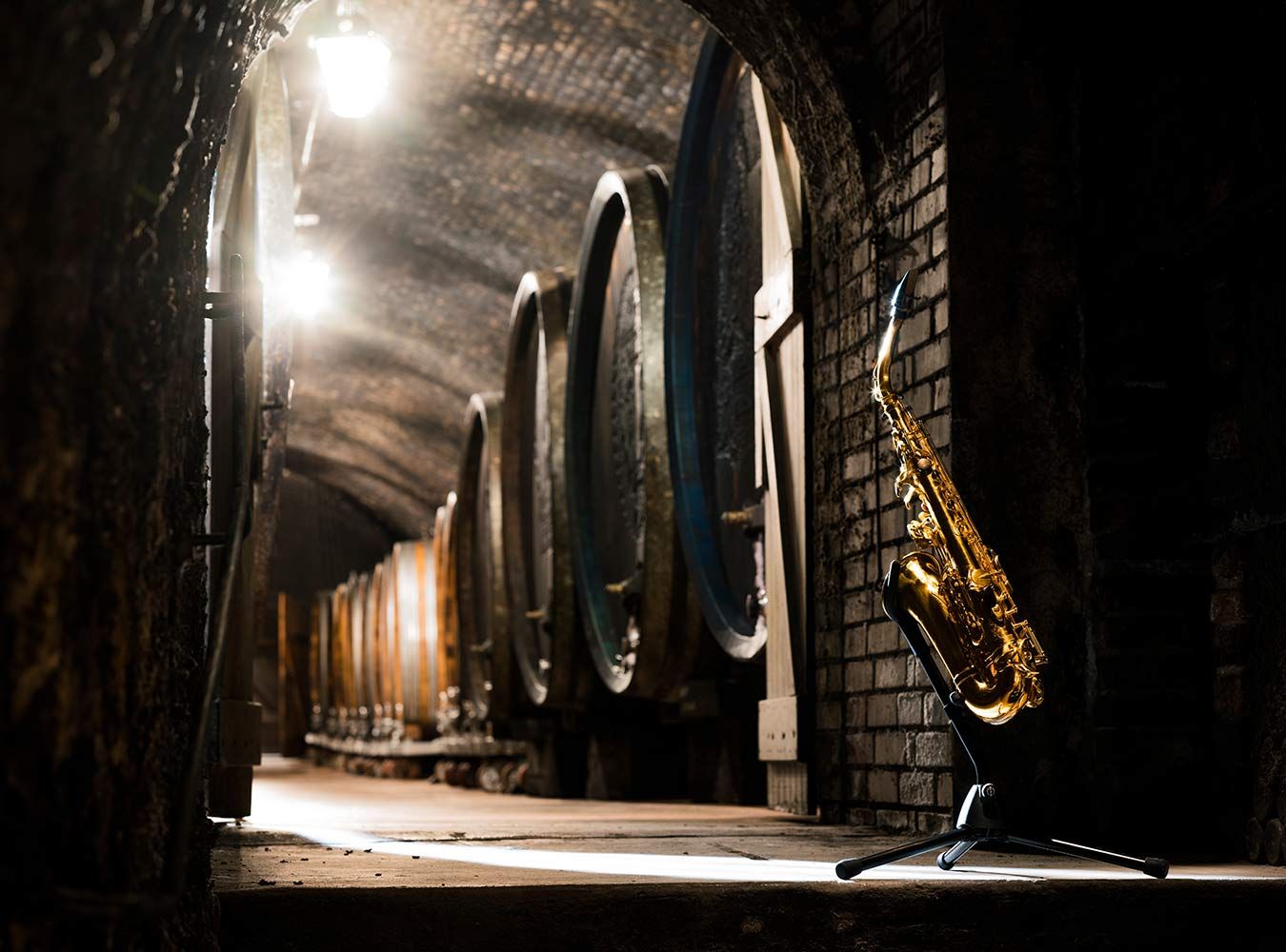 Kulturgenuss am Weingut