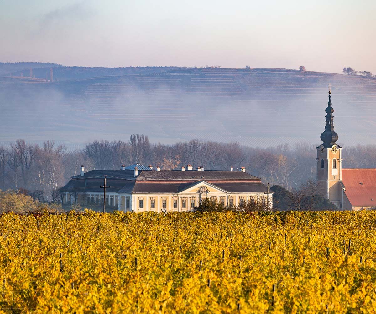 Weingut Schloss Gobelsburg