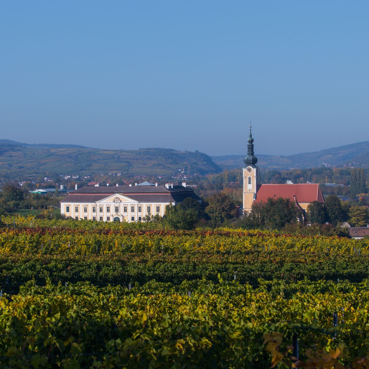 Weingut Schloss Gobelsburg