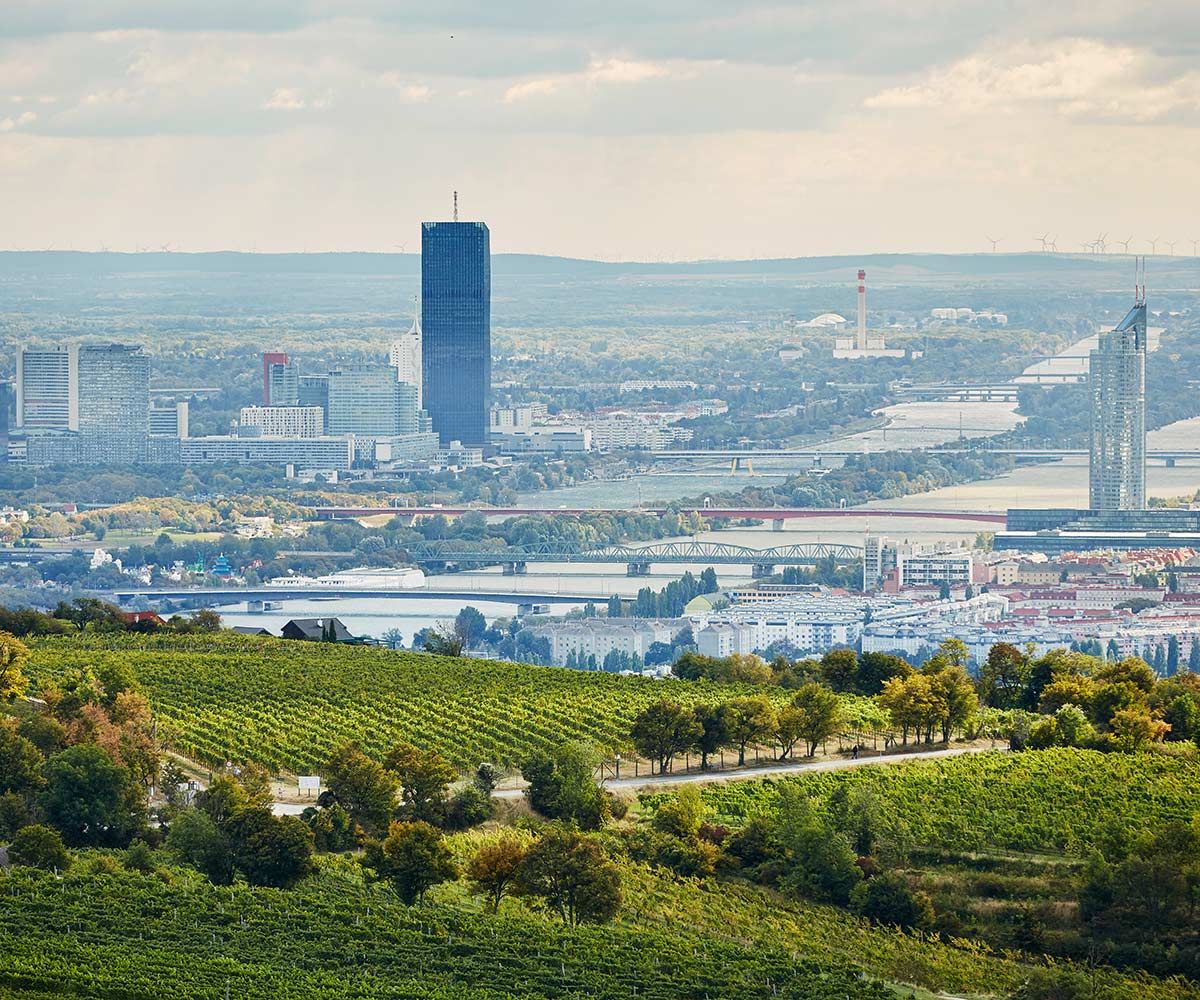 Blick auf Wien von der Ersten Lage Langteufel