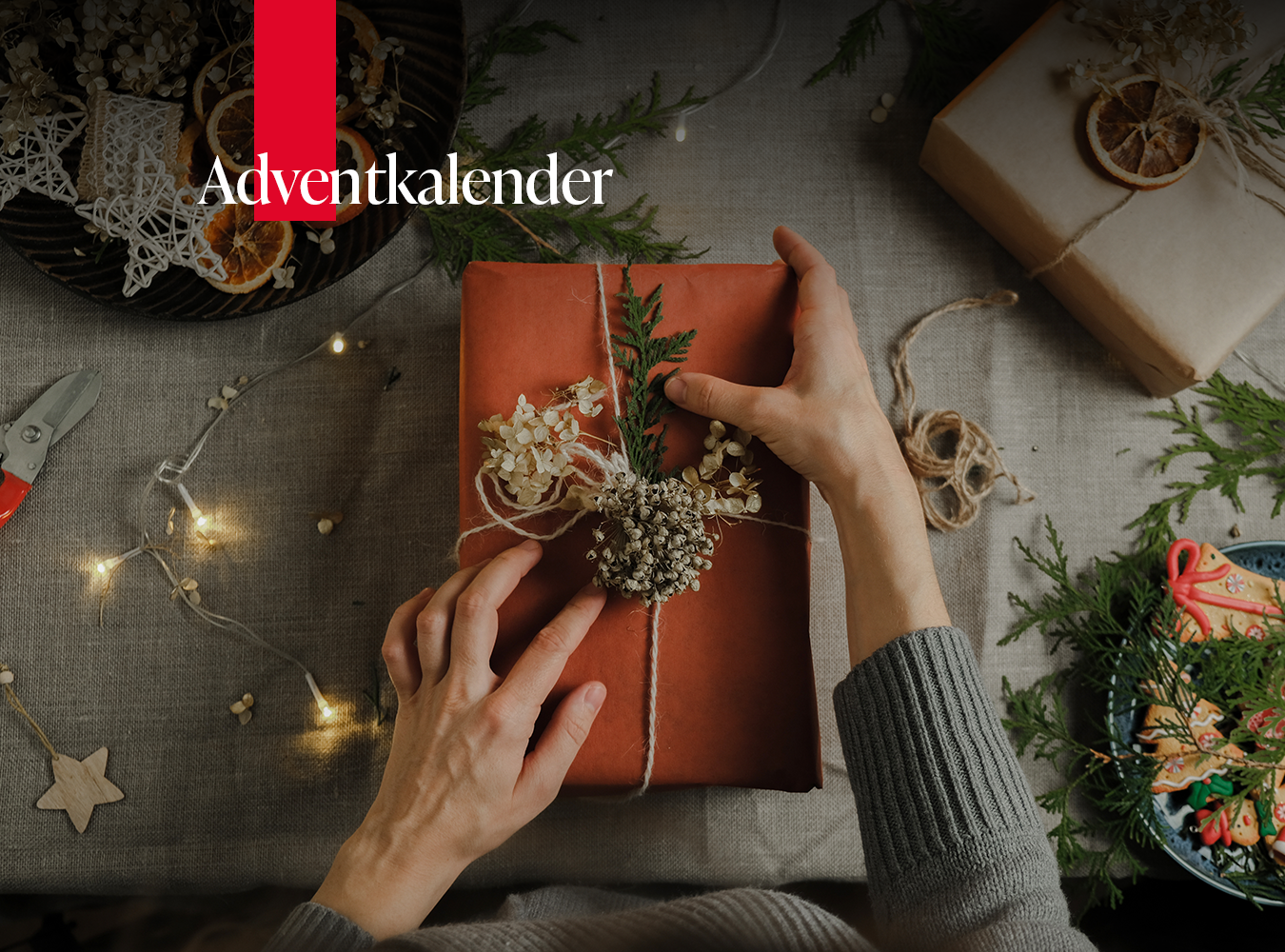 © Shutterstock / Meteoritika Gault&Millau Adventkalender 2025