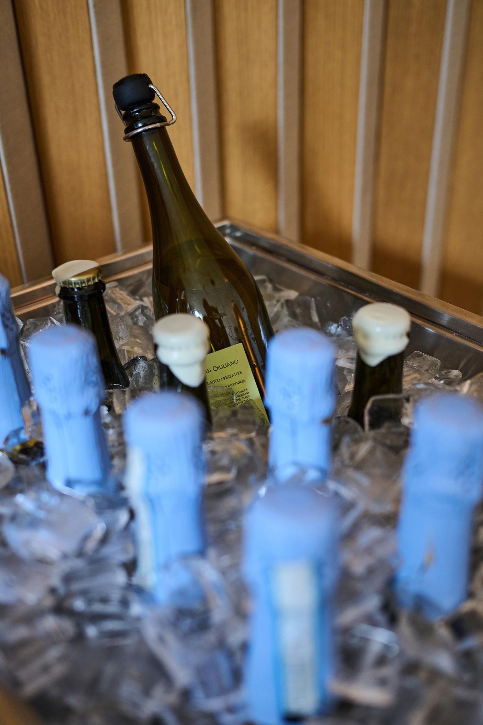 Präsentation PANARUM