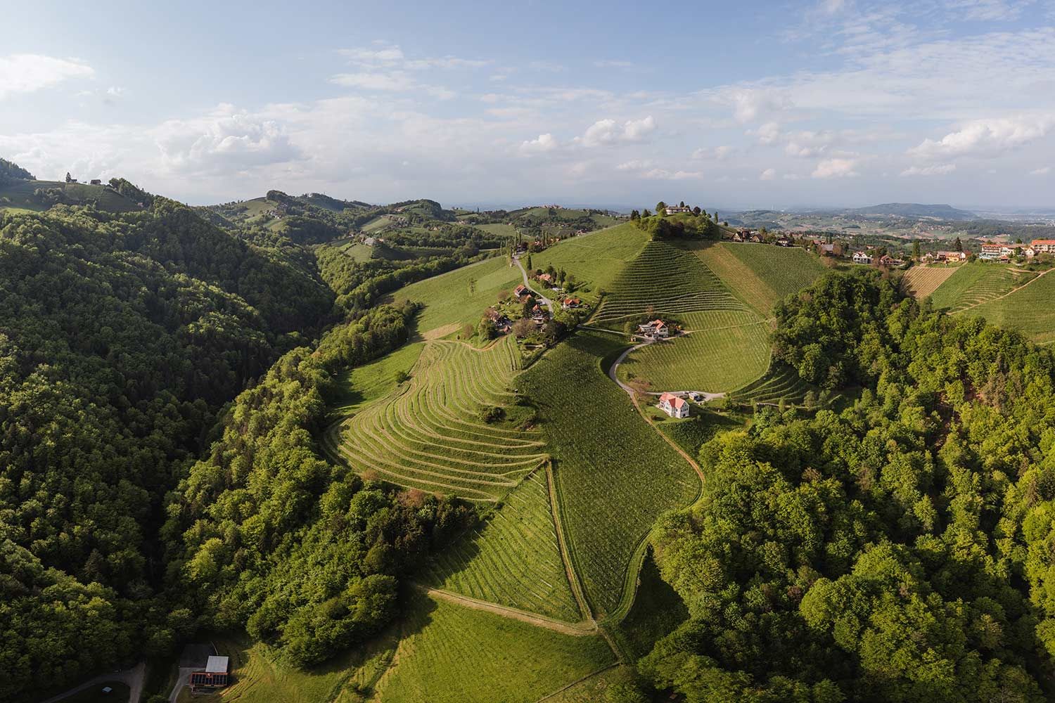 Weingut Scbhauer Ried Gaisriegl bei Kitzeck