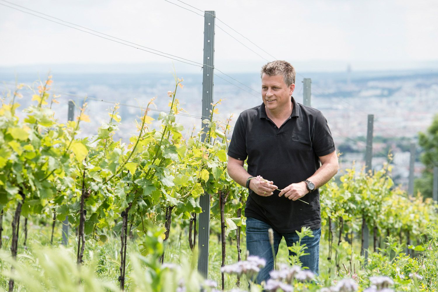 Weingut Wien Cobenzl