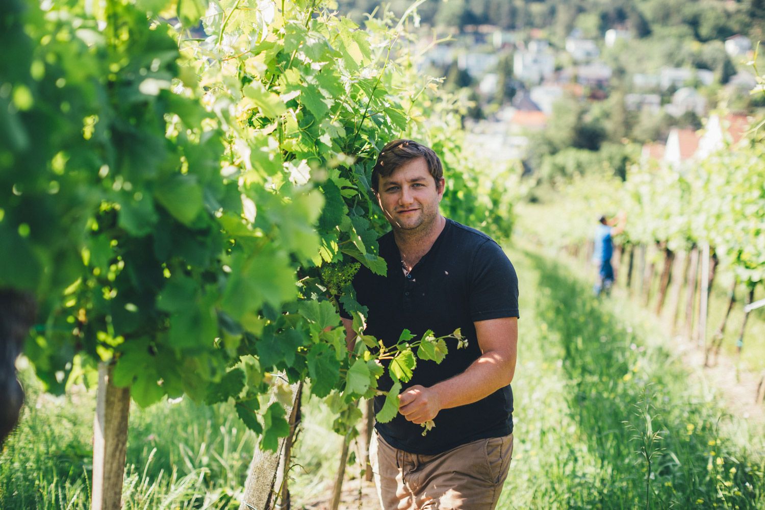 Weingut Fuhrgassl-Huber