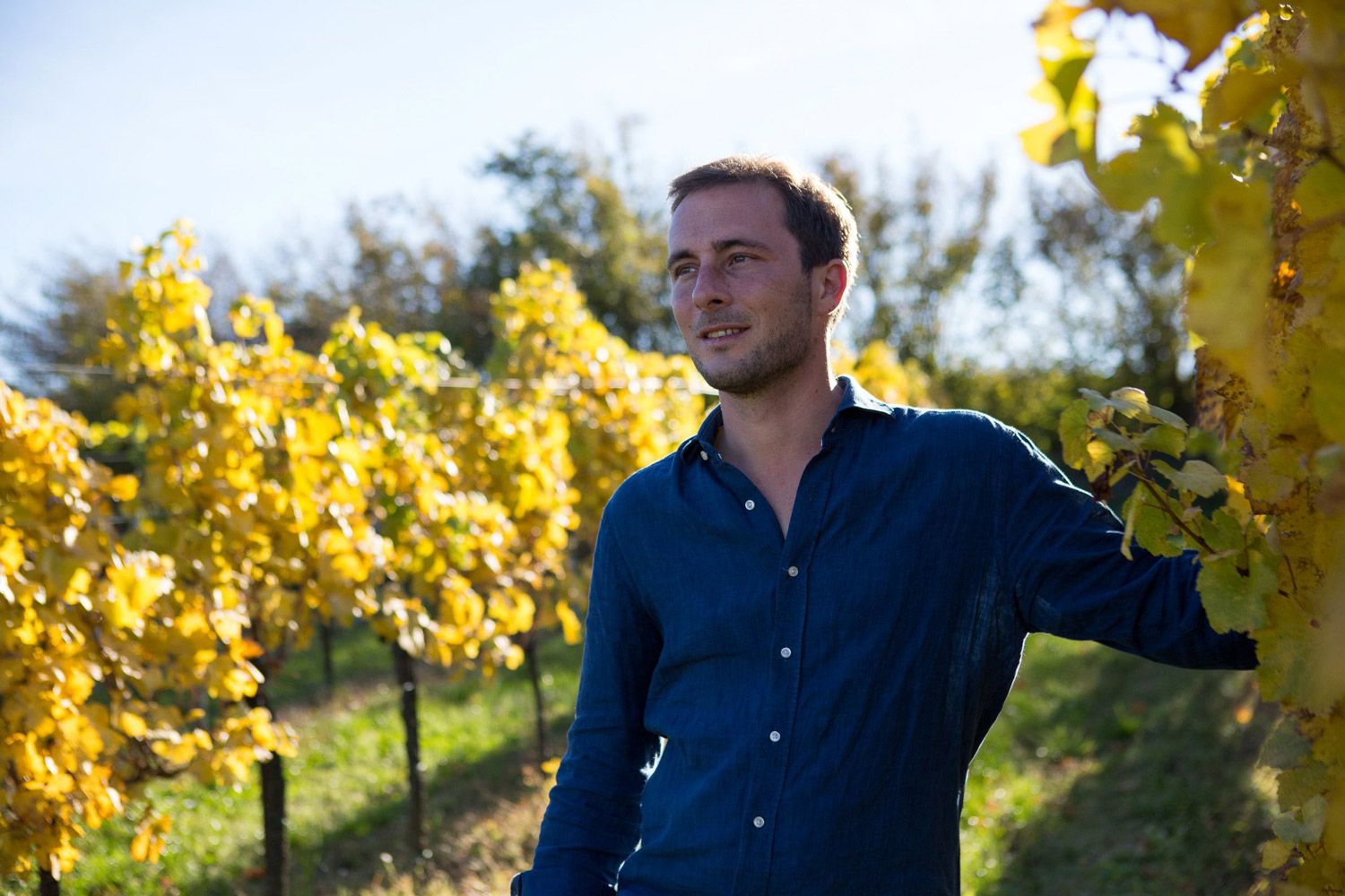 Weingut Prieler