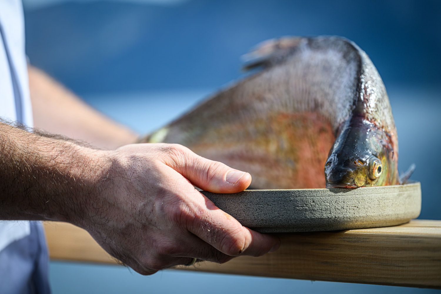 Jürgen Schmücking Fangfrisch vom Traunsee