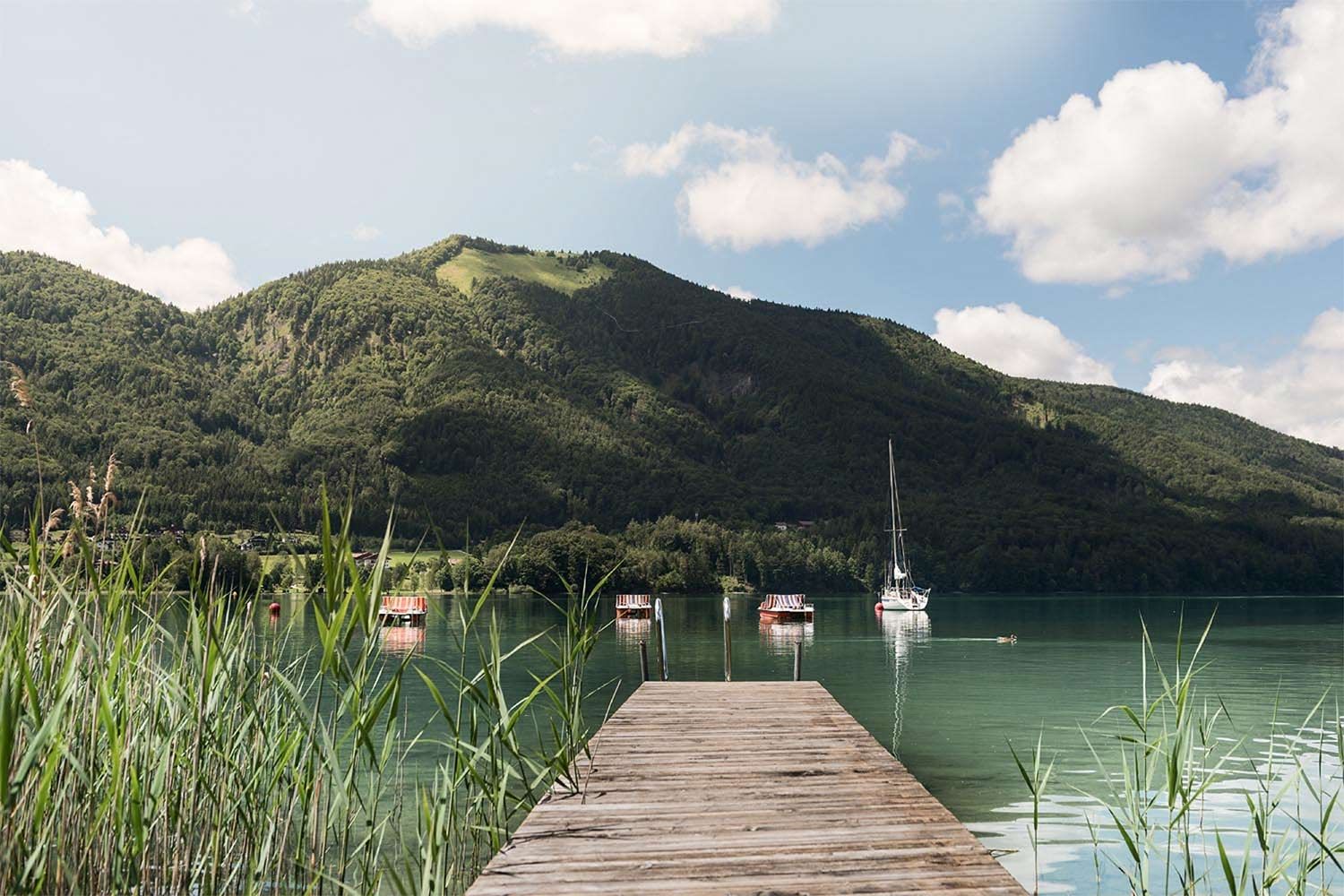 Sommerlicher Sehnsuchtsort am Fuschlsee