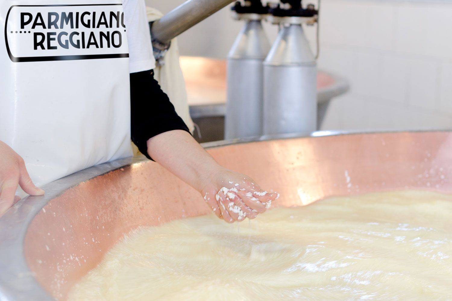Auf dem Weg zum Parmesan: Beim Erhitzen der Milch wird die Größe der Granulate händisch geprüft