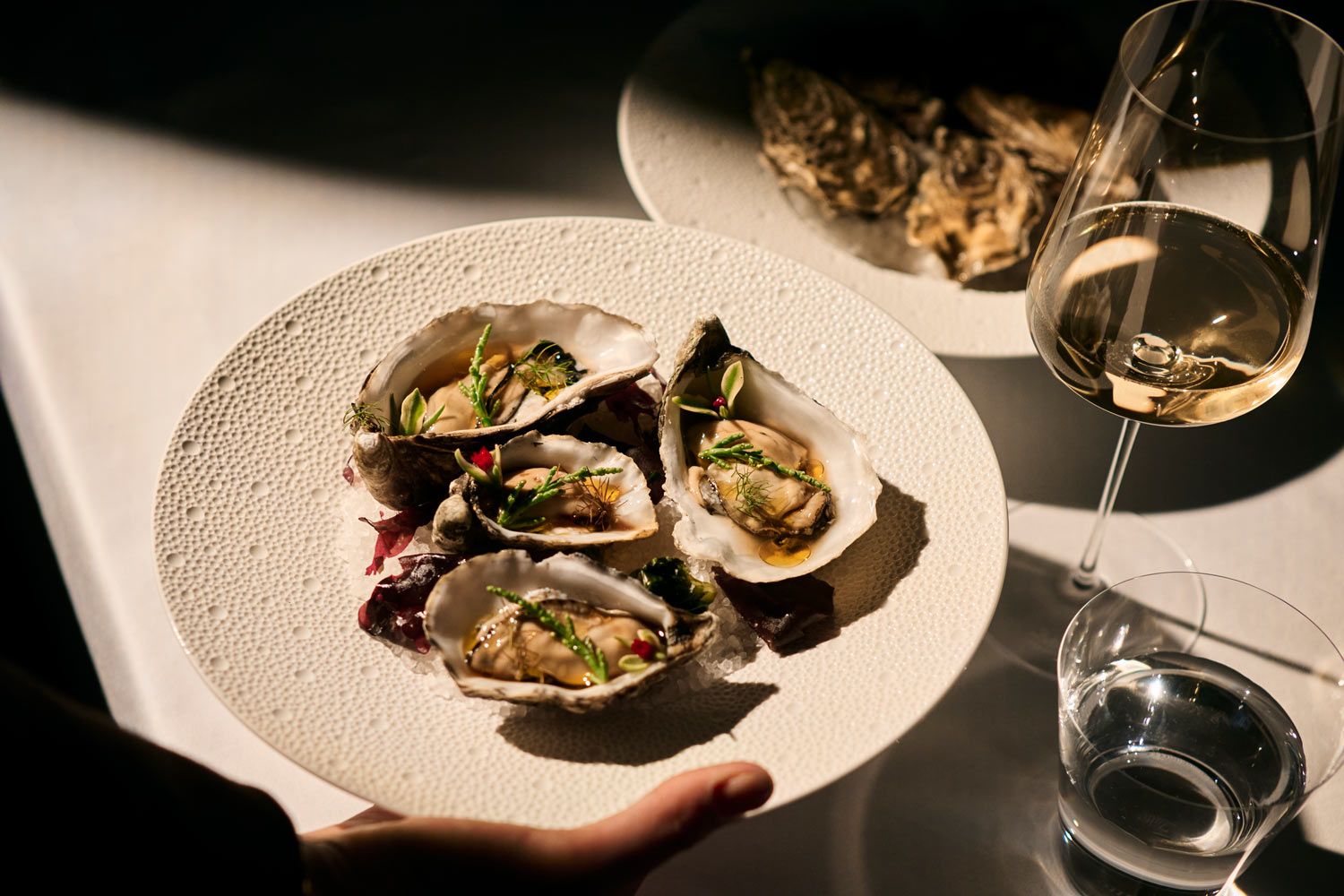 Austern & Champagner
