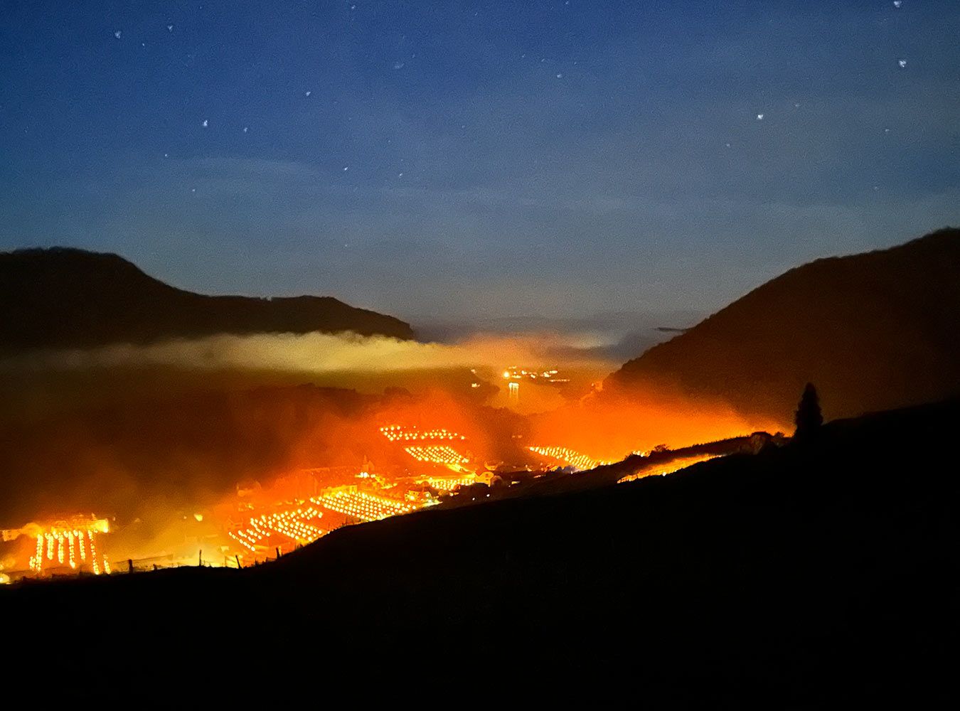 Blick auf Spitz in der Wachau