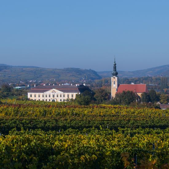 Weingut Schloss Gobelsburg