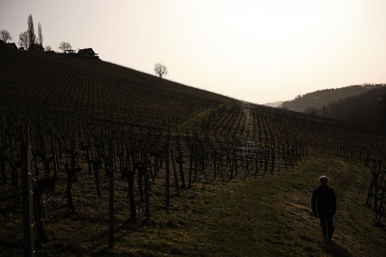 Weingut Polz