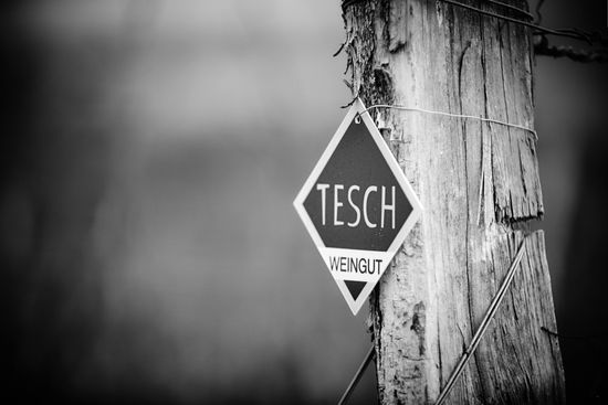 Weingut Josef Tesch GmbH