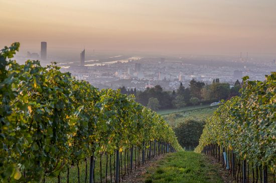 Weingut Wien Cobenzl