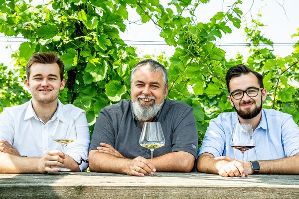 Weingut Familie Auer null