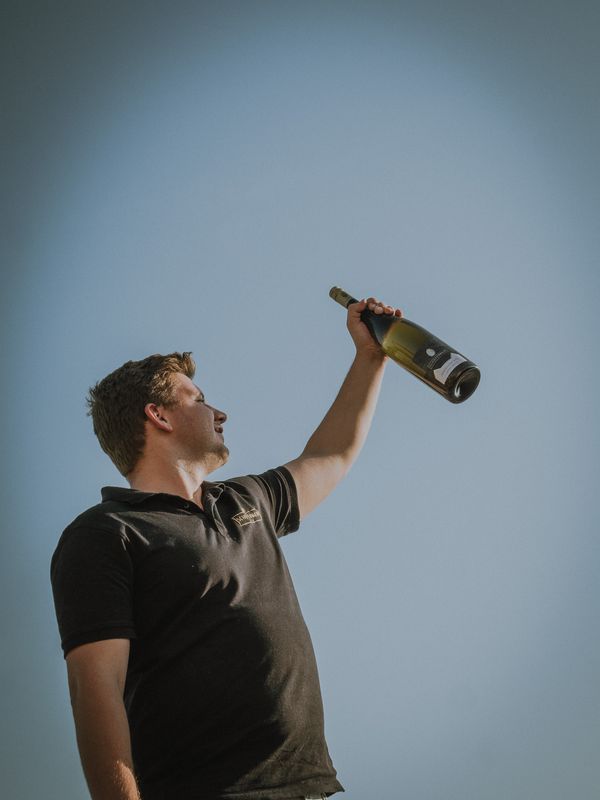 Schiefermair Wein null