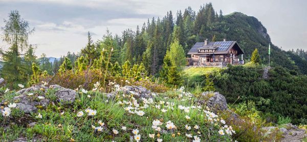 Die Goiserer Hütte bietet authentische Köstlichkeiten