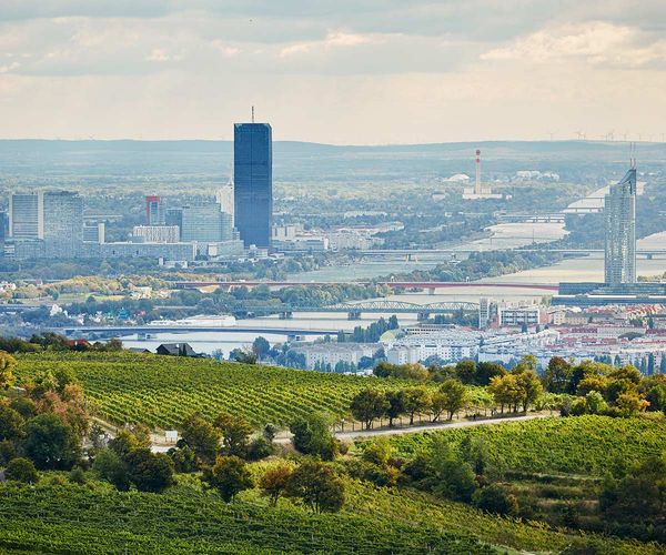 Blick auf Wien von der Ersten Lage Langteufel