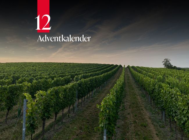 © Weingut Norbert Greil