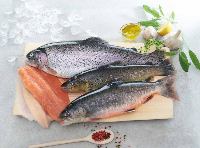 Decleva Fisch © Decleva's Alpenfisch Mariazell