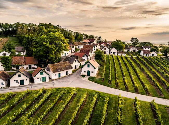 © Niederösterreich Werbung/Robert Herbst Galgenberg im Weinviertel