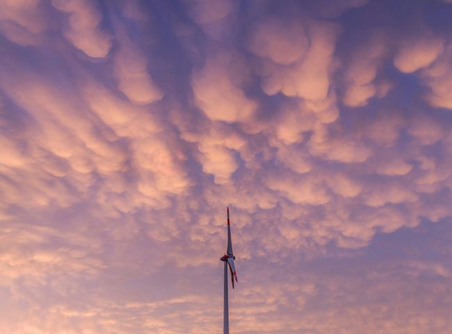© Karsten Würth / Unsplash Betriebe mit besonderer Energieeffizienz