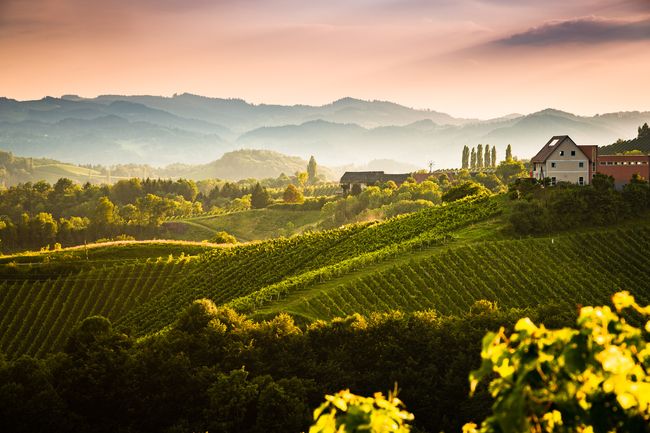 © Shutterstock