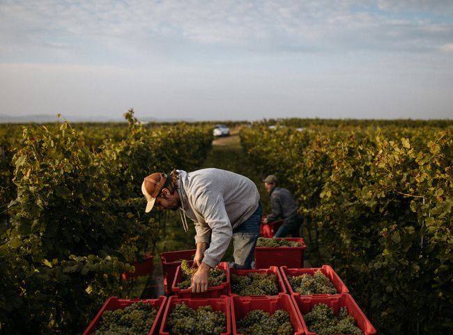 Weingut Schödl Family