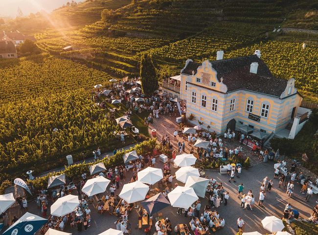 Kellerschlössl der Domäne Wachau